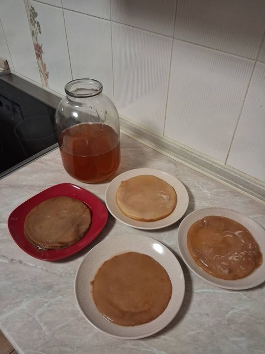 Віддам безкоштовно чайні гриби