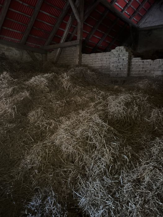 Stara sloma i siano