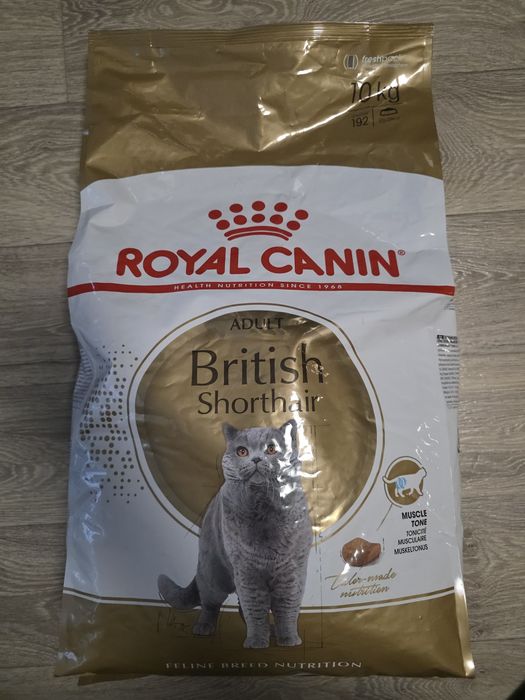 Royal Canin British Shorthair Adult