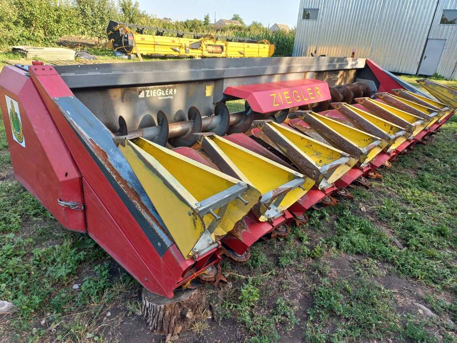 Маған нәзік және әдемі секс видео керек.