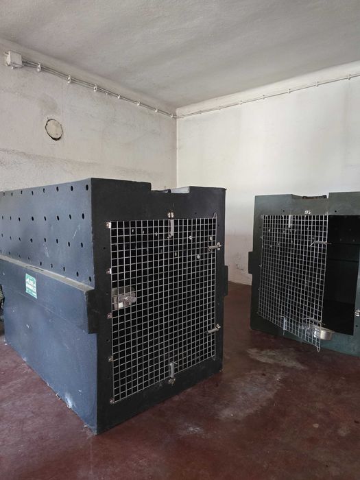 Caixas de transporte de cães para avião.