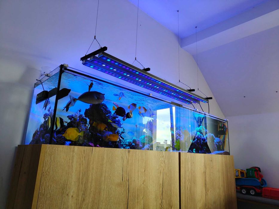 Listwy LED Orphek OR4 150cm