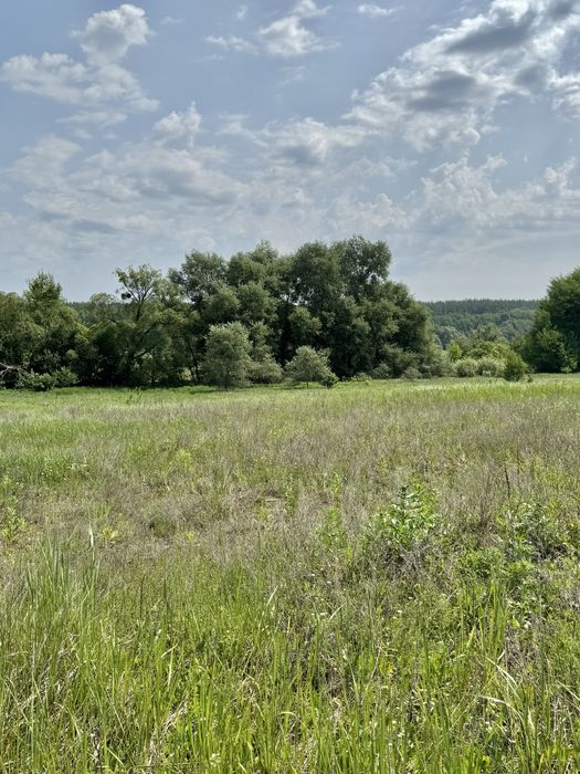 Продам 82сотки землі !!!  с.Мироцьке