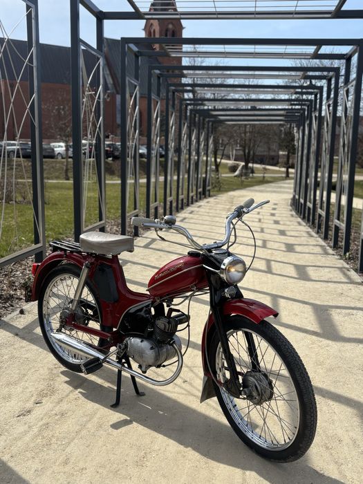 Komar 2 pełen oryginał