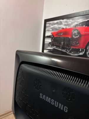 monitor samsung sycmaster2333