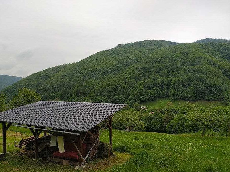 здаються будиночки в Карпатах з краєвидом