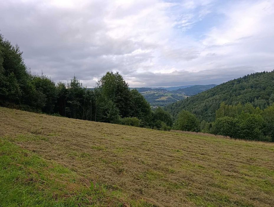 Działka Budowlana z Lasem