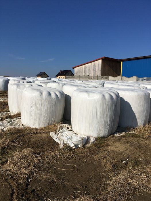 Siano w belach 120x120 sianokiszonka