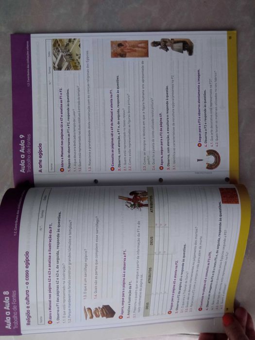 Caderno de atividades/ do aluno "Viva a História 7"