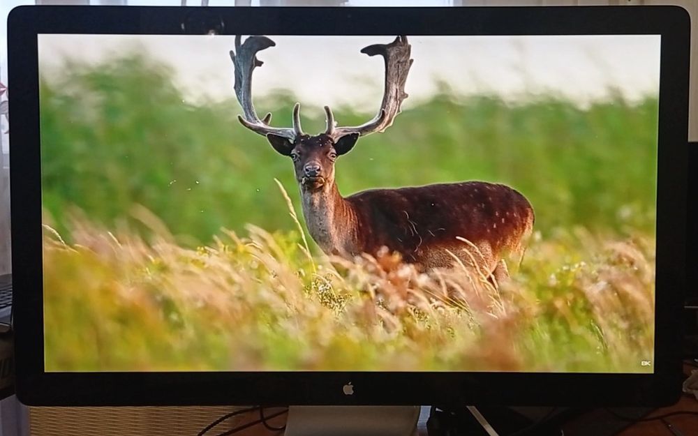 Apple Thunderbolt Display 27" (A1407) — IPS 2K, звук 2.1 та алюмінієви