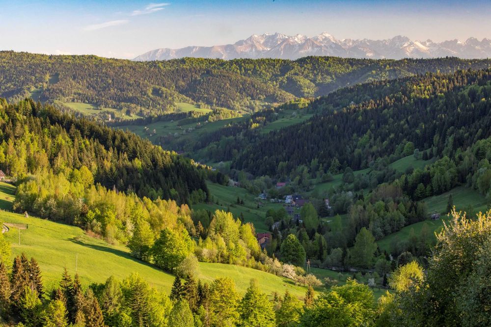 Domek z kominkiem w górach widok na Tatry ferie jacuzzi balia wczasy cisza, Gorce, owce
