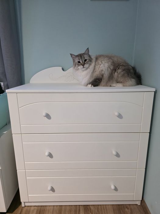 Meble meblik Bianco Fiori