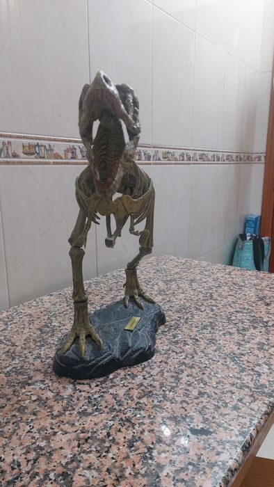 Dinossauro T-Rex443666080580904961
