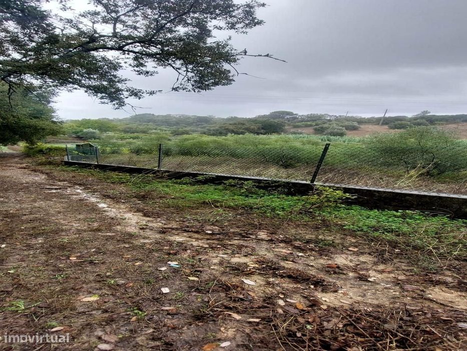 O Seu Refúgio de Sonho com Riacho e Olival a 15min de Torres Novas