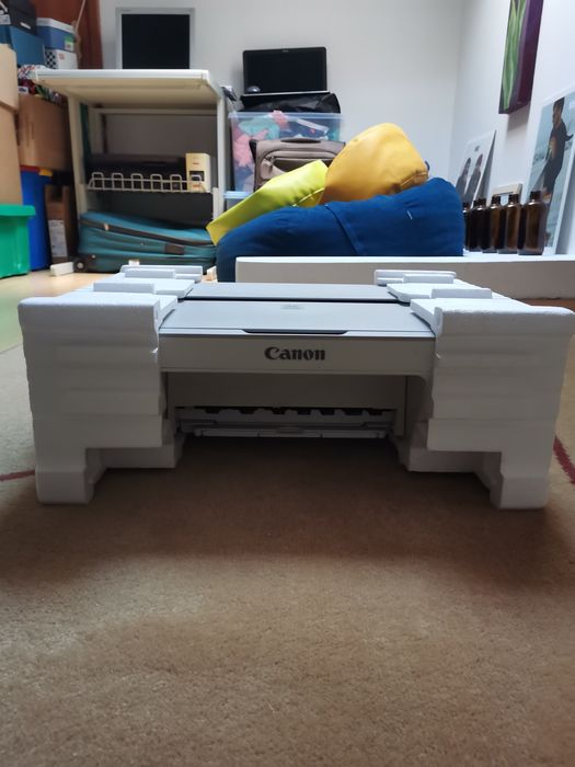 Impressora Canon PIXMA MG2450