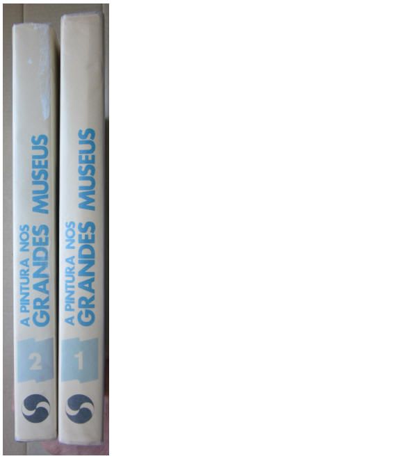 Luis Monreal Agustí - A PINTURA nos Grandes MUSEUS