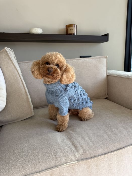 Светр для собаки/кота