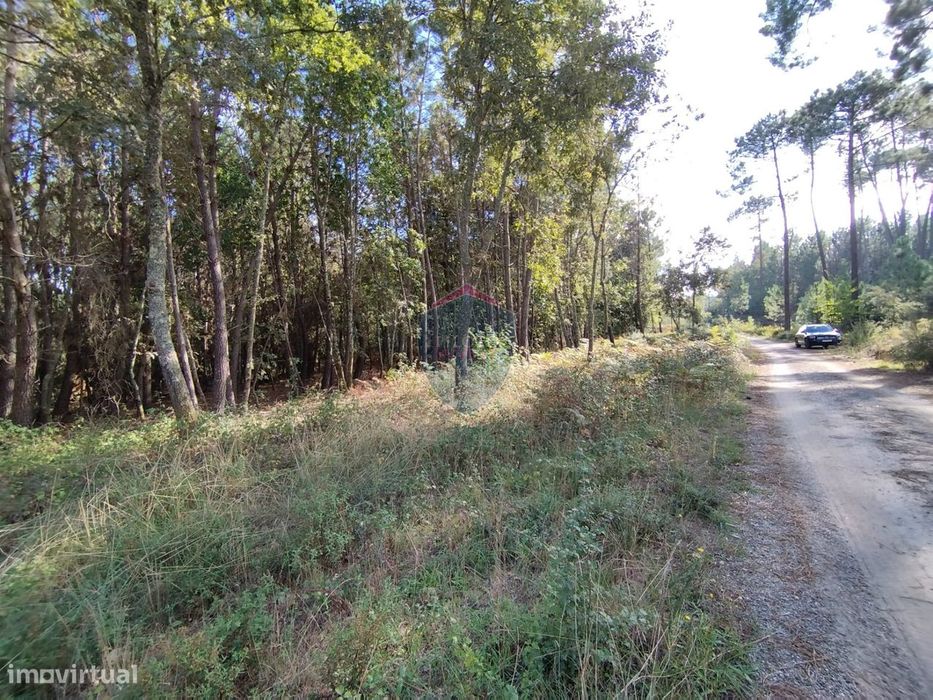 Terreno  Venda em São Pedro de France,Viseu — São Pedro de France, Viseu