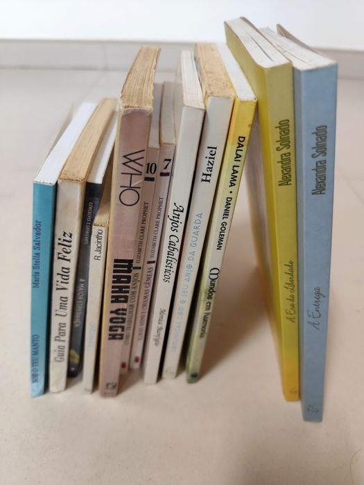 Lote de Livros sobre Espiritualidade