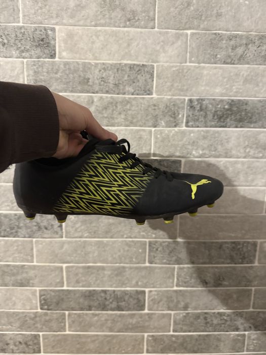 Копочки пума, puma