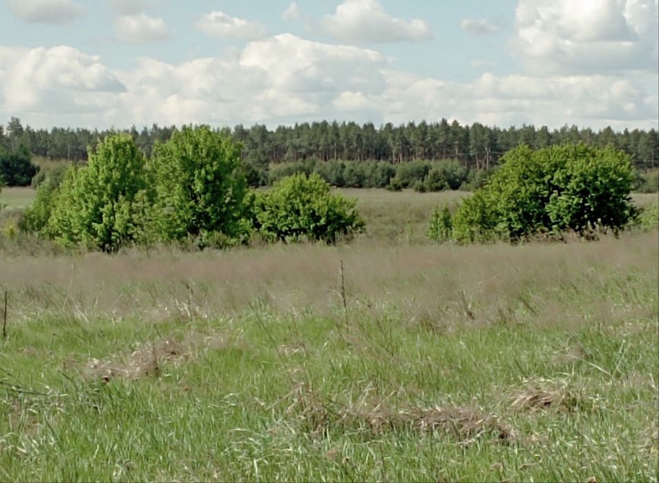 Продаж земельної ділянки, під забудову.