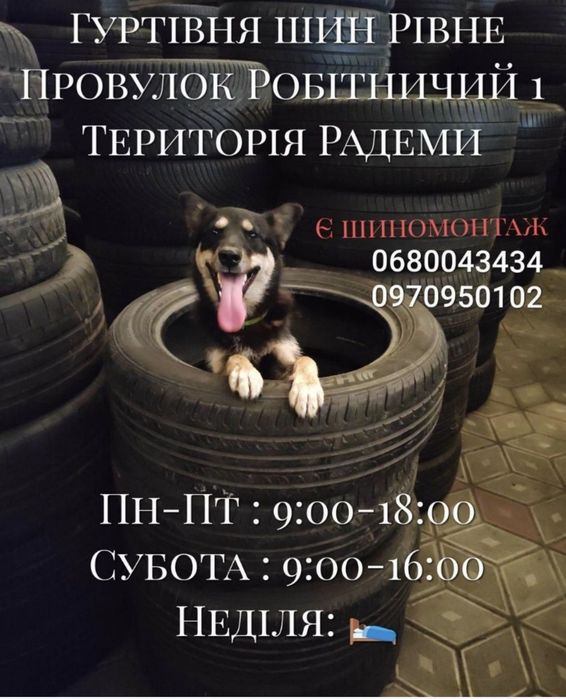 185/60R15 Dunlop SpSport01 4 шт літо