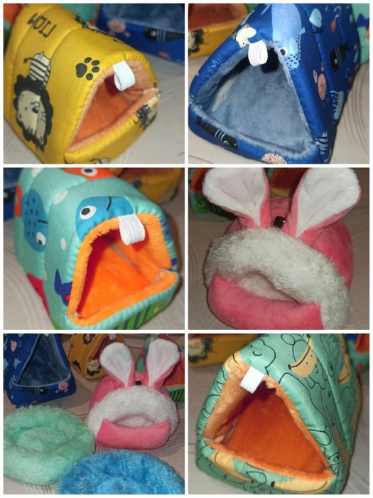 Декоративні кучеряві мишки, миші