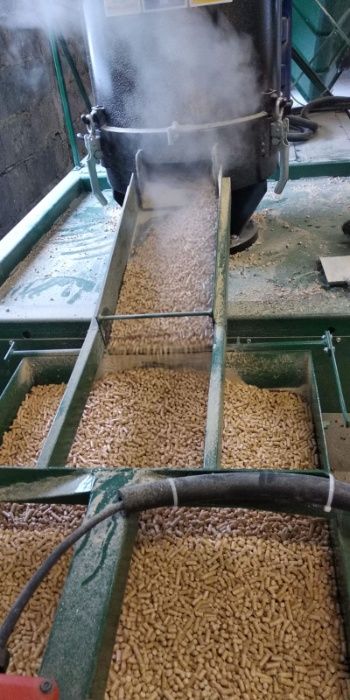 PELLET A1 Sosnowo - Dębowy Eko Gont.