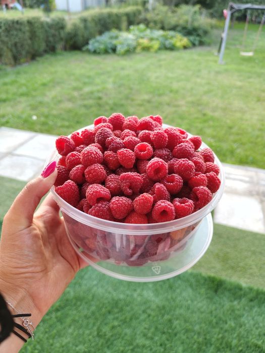 Sprzedam Maliny sprzedam