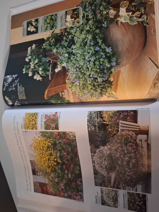 Livro de arranjo de flores