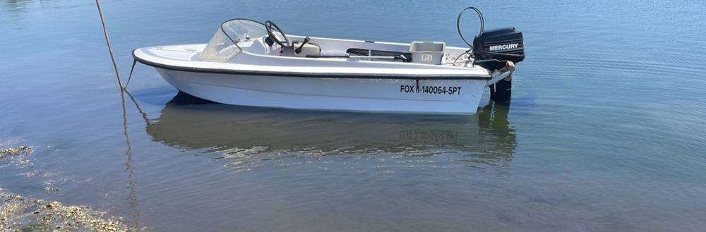 3.7m Boat with Engine and Trailer
