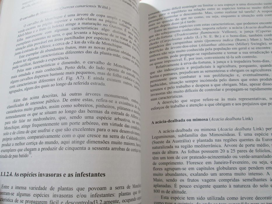 Pulmão do Sul a Verde e a Fogo, de Ana Maria Nunes