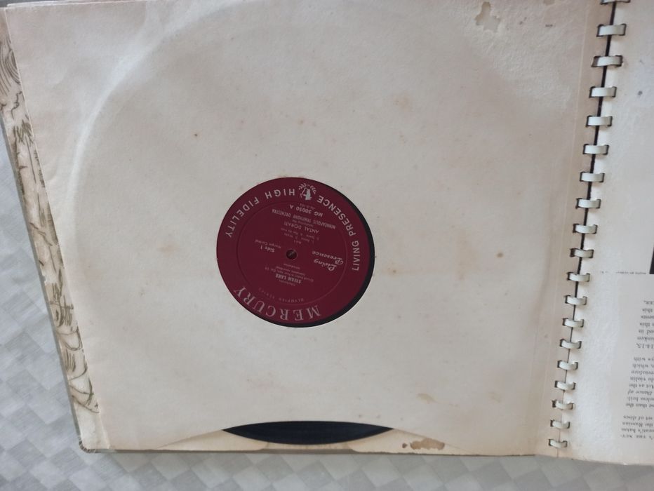 O lago dos cisnes livro e vinyls