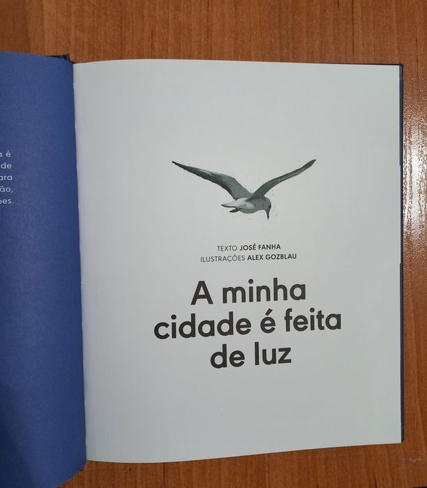 Livro - A minha cidade é feita de luz