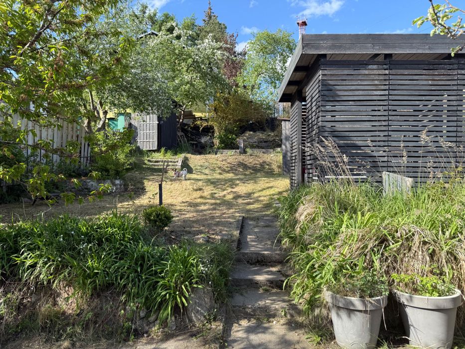 !!OKAZJA!! Działka ROD “Akacje”