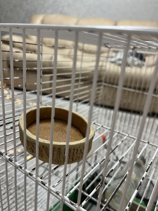 Большая клетка для грызонов, клетка для грызуна.