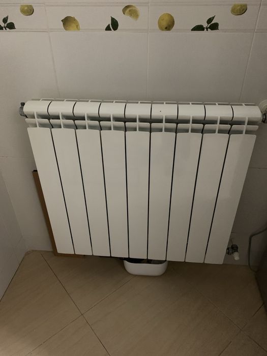 Aquecimento central 6 radiadores a água.