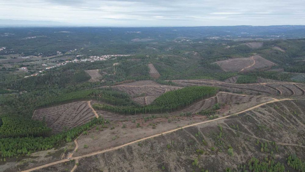 Oportunidade! Terreno Legalizado com Potencial de Construção – Arganil