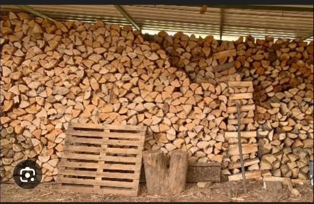 Venho lanha de pinho seca