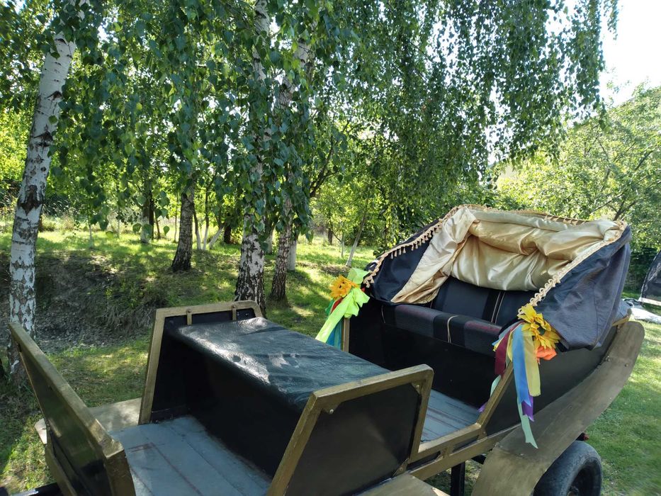 Продам карети на ходу