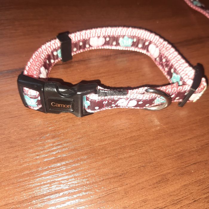 Нашийник з поводом для тварин Camon