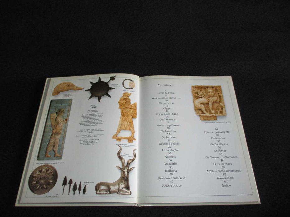 Livros Enciclopédia Visual Verbo Roma Antiga Antigo Egipto e Terras da Bíblia