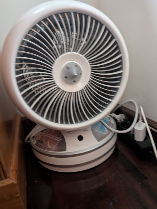 Climatizador Rowenta 2 em 1