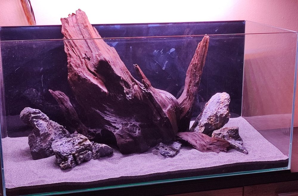 Korzeń do akwarium/terrarium