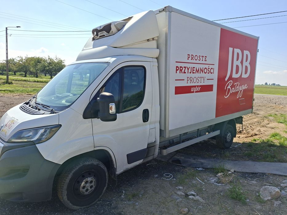Pegot Boxer kontener chlodnia izoterma