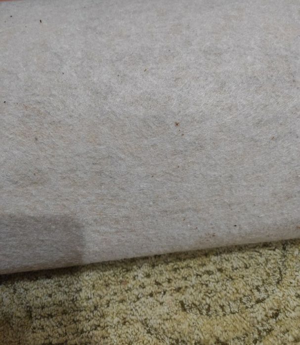 Оливковый ковролин:2.2 м/3.3 м