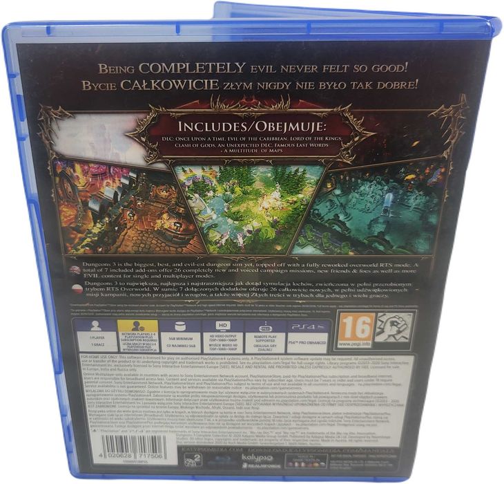 Gra na konsolę Playstation 4 Dungeons III