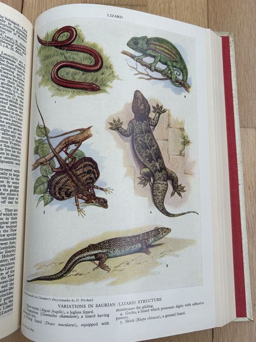 Chamber’s Encyclopaedia -Volume VIII