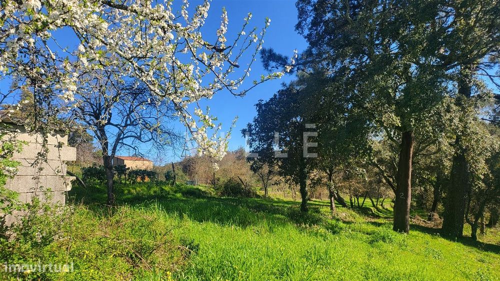 Terreno  Venda em Préstimo e Macieira de Alcoba,Águeda