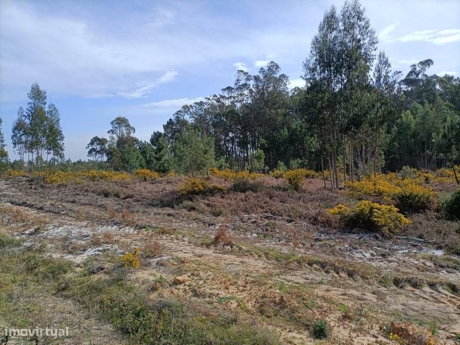Terreno Serra do Bouro-Caldas da Rainha